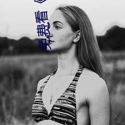 免费看《鲜肉老师》电视剧