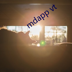 mdapp vt