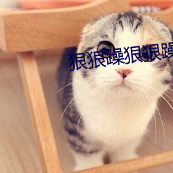 狠狠躁狠狠躁