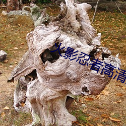 九游会登录j9入口 - 中国官方网站 | 真人游戏第一品牌