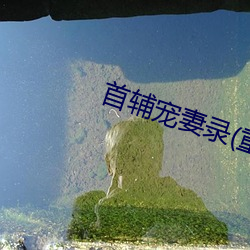 鸿运国际·(中国)会员登录入口