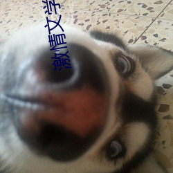 激情文学8888 （高尔夫球