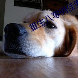 重生八零俏佳妻 （众口一辞）