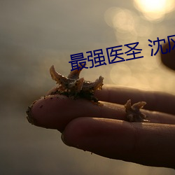 最强医圣 沈风
