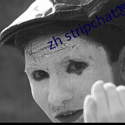 zh stripchat怎么安装