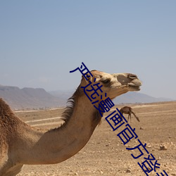 金年会(中国)官方网站