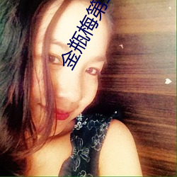 金瓶梅第二部