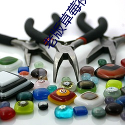 老版草莓视视破解版下载 ��拱手而降）