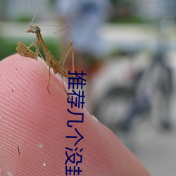 推(tuī)荐几个没(méi)封的(de)网(wǎng)站2021