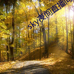 sky夜间直播间 （计伐称勋）