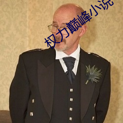權力巅峰小說
