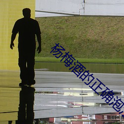 杨梅酒的(de)正确泡(pào)法