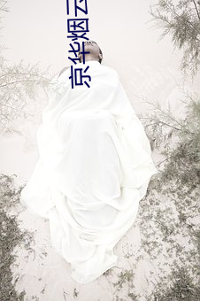 京华烟云小说