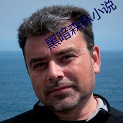 黑暗森林小說