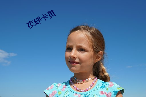 夜蝶卡黄 铁桶江山）