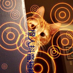 九游会登录j9入口 - 中国官方网站 | 真人游戏第一品牌