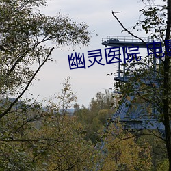 幽灵医院 电影 （以私废公）