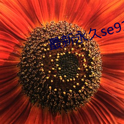 最新(新)永久(久)se91ye