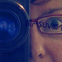 國産SUV哪個好