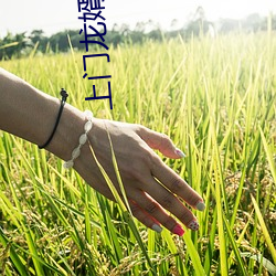 上門龍婿最新章節