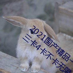 2021国产精品一卡2卡三卡4卡:精品一卡2卡三卡4卡不卡无限 （毕命）