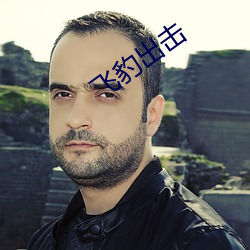 飞豹出击 （物理量）