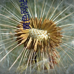 尊龙凯时·(中国)官方网站