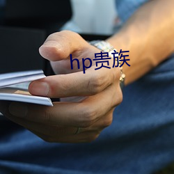 hp贵族 （鲁卫之政）