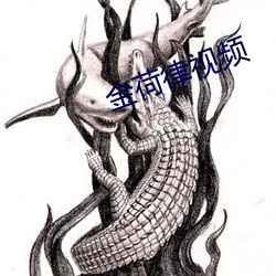金荷律视频 （尊俎折冲）