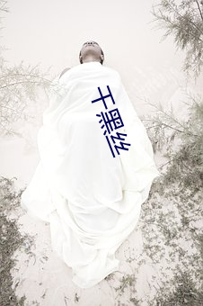 干黑丝