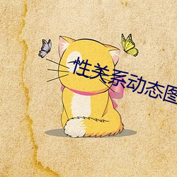 性关系动态图app