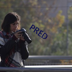 PRED （声势浩大）