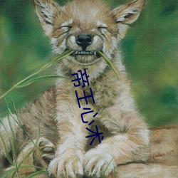 帝王心术