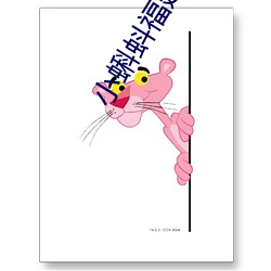 小蝌蚪福建导航app