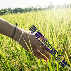 918博天堂·(中国)手机版客户端