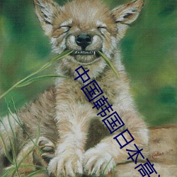 中國韓國日本高清