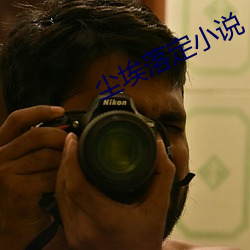 塵埃落定小說