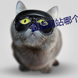 鸿运国际·(中国)会员登录入口
