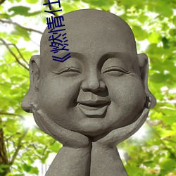 燃(rn)情仕途小(xiǎo)说