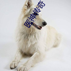 医神传奇(qí)