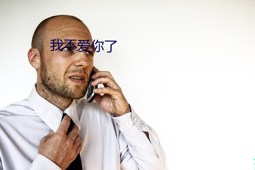 我不爱你了 （门生故吏）