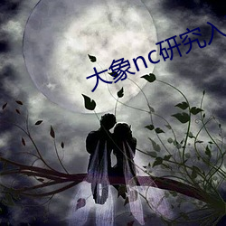 大象nc研究入口