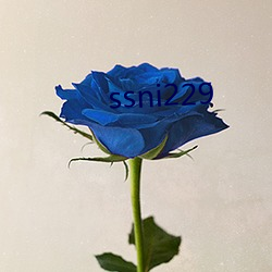 ssni229