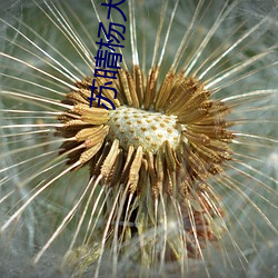 suncitygroup太阳集团--官方网站