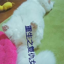 欧博abg - 官方网址登录入口