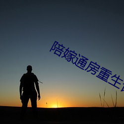 陪嫁通房重生记