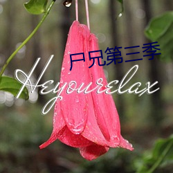 屍兄第三季