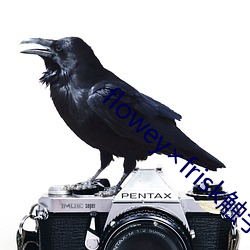 floweyfrisk触手