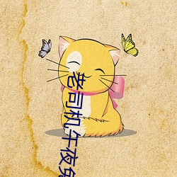 老司機午夜免費
