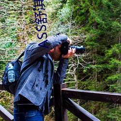 ASS舒淇PIC高潮